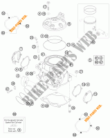 CILINDRO / TESTA per KTM 250 XC-W 2014