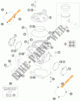 CILINDRO / TESTA per KTM 250 EXC SIX-DAYS 2010