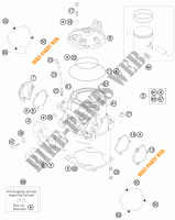 CILINDRO / TESTA per KTM 250 EXC E-STARTER 2010