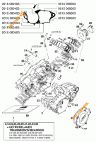 CARTER MOTORE per KTM 380 SX 1998