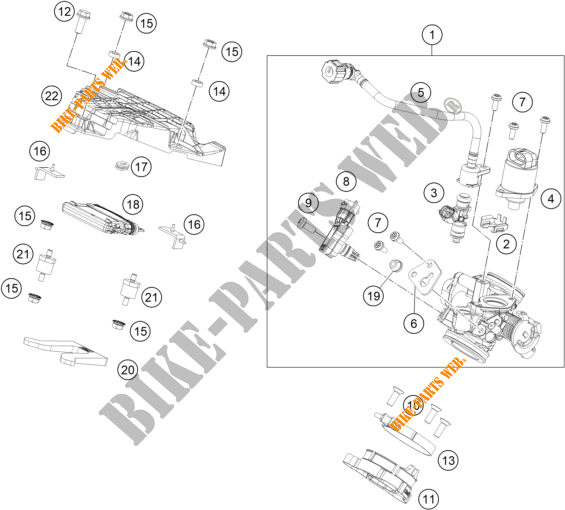 CORPO FARFALLATO per KTM 125 DUKE WHITE - B.D. 2020