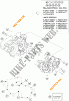 CARTER MOTORE per KTM 300 EXC SIX DAYS 2023